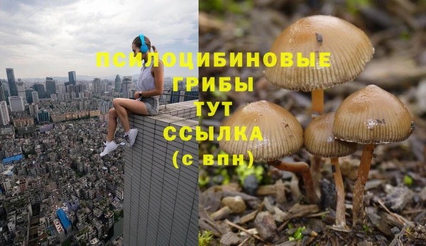 бутират Шарыпово