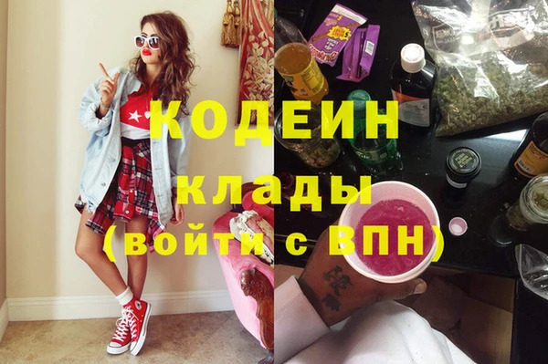 хмурый Шали