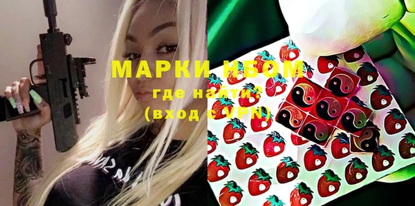 хмурый Шали