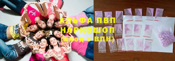 крисы Чегем