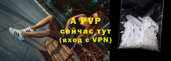 хмурый Шали