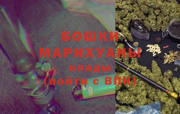 хмурый Шали