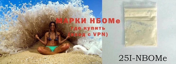 хмурый Шали