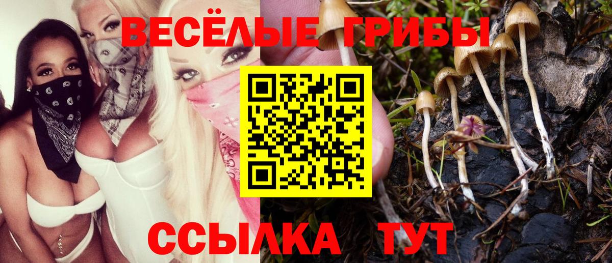 Галлюциногенные грибы мицелий  Псилоцибиновые грибы ЛСД  Томск  Вход с VPN 