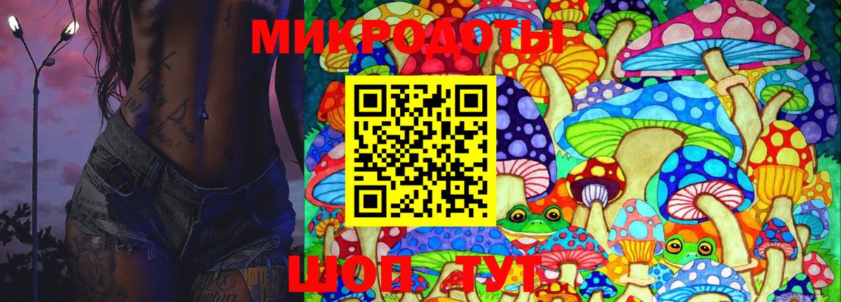 Псилоцибиновые грибы мицелий Томск